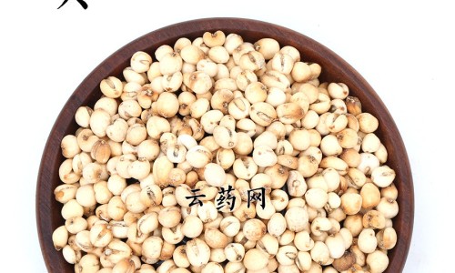 车前子的功效与作用吃法网- 车前子的功效作用与主治及禁忌和副作用知识,分享车前子的功效与作用吃法大全集